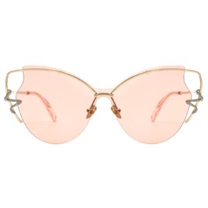 Beetle Sunglasses